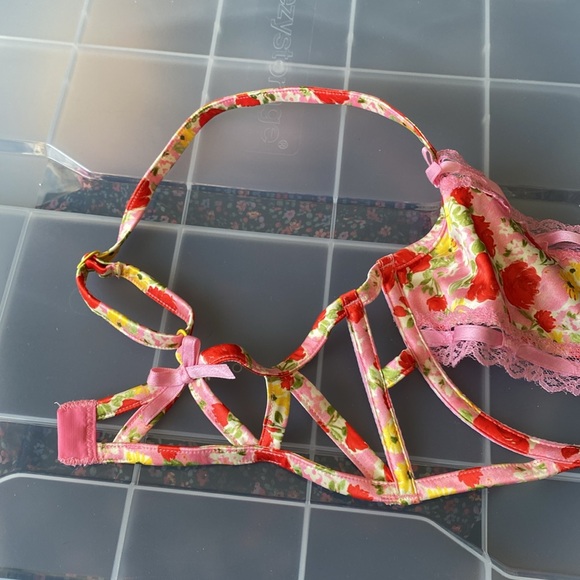 NWT For Love and Lemons Painterly Cutout Bra Pink Lace Floral Romantic Sz Large - Picture 6 of 11